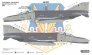 1/48 McDonnell F-4G Phantom 562nd TFTS 37th TFW 1990 image 3