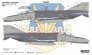 1/32 McDonnell F-4G Phantom 652nd TFTS 37th TFW 1990 image 2