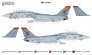 1/48 Grumman F-14D Tomcat VF-11 RED RIPPERS image 3