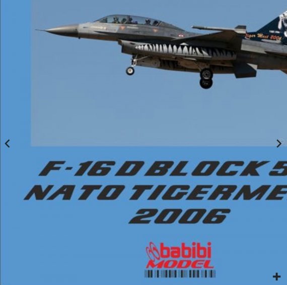 1/48 F-16D Nato Tigermeet 2006 Special Tail Art