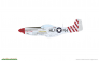 1/48 P-51 Red tails & Co. dual combo image 3