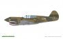 1/48 PACIFIC STAR P-40E Warhawk DUAL COMBO image 4
