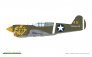 1/48 PACIFIC STAR P-40E Warhawk DUAL COMBO image 5