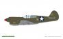 1/48 PACIFIC STAR P-40E Warhawk DUAL COMBO image 7