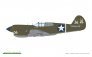 1/48 PACIFIC STAR P-40E Warhawk DUAL COMBO image 8