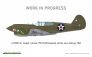 1/48 P-40E Warhawk DUAL COMBO (ROYAL CLASS) image 5