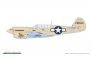 1/48 P-40N Warhawk Profipack image 2
