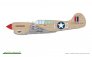 Eduard P-40K Warhawk Dual Combo Royal Class 1/48 image 2