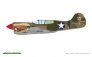 Eduard P-40K Warhawk Dual Combo Royal Class 1/48 image 6