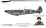 1/72 Spitfire Mk.IXE/XVIE in RCAF Service