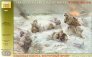1/35 German WWII Infantry Winter 1941/42 image 1
