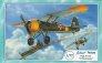 Azur 1/72 PZL P.11F en Roumanie - Maquette avion