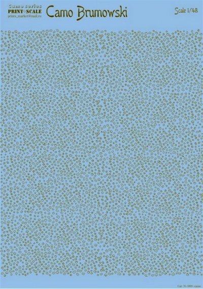 1/48 Camo Brumowski (wet decals)