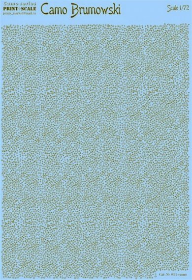 1/72 Camo Brumowski (wet decals)