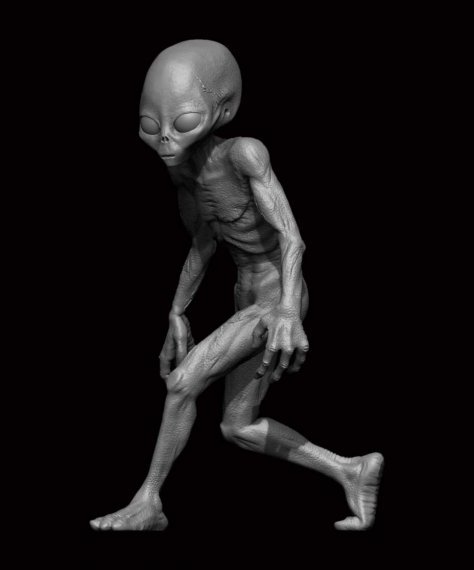 1/24 Grey Alien