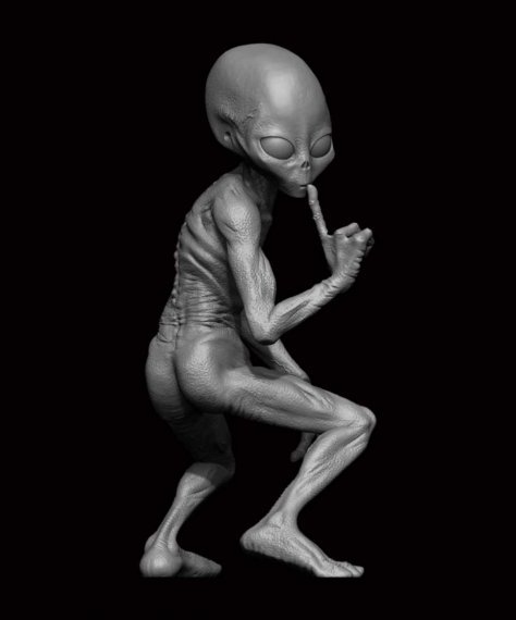 1/24 Grey Alien