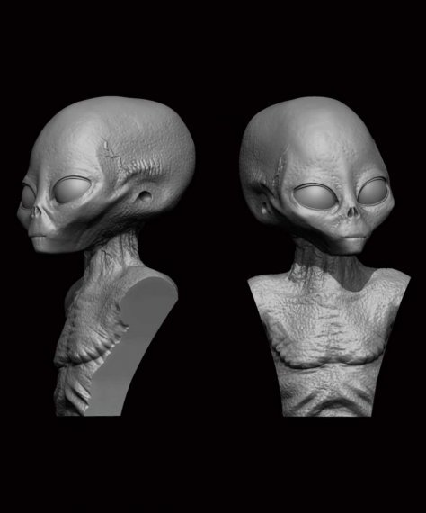 Grey ALIEN-BUST 5cm/50mm