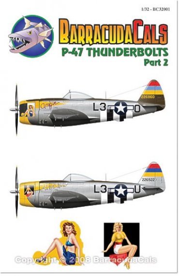 1/32 Republic P-47D Thunderbolt Bubble
