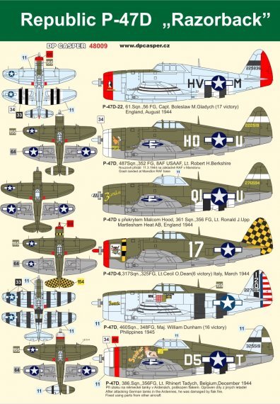 1/48 Republic P-47 Thunderbolts