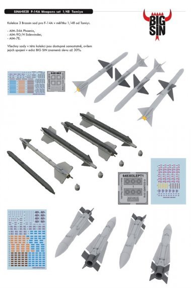 BIGSIN 1/48 F-14A Weapon set