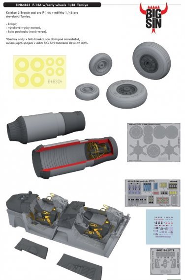 BIGSIN 1/48 F-14A w/early wheels