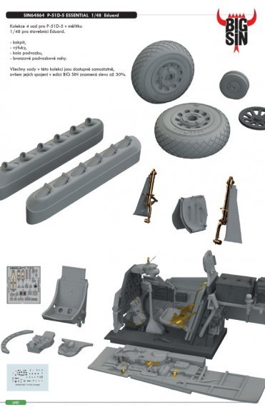 BIGSIN 1/48 P-51D-5 ESSENTIAL
