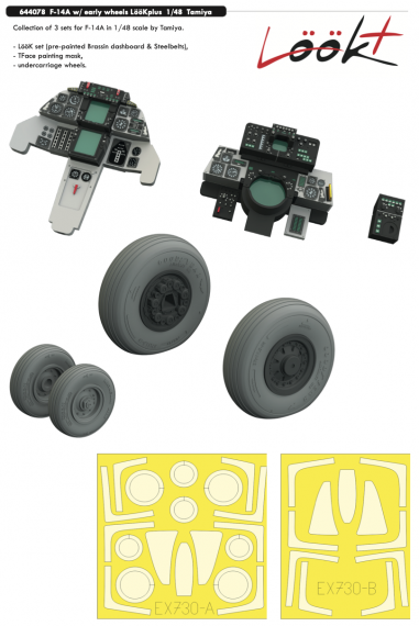 Brassin 1/48 F-14A with early wheels LooKplus