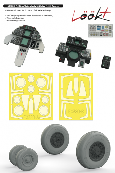 Grumman F-14A Tomcat with late wheels LooKplus 1/48