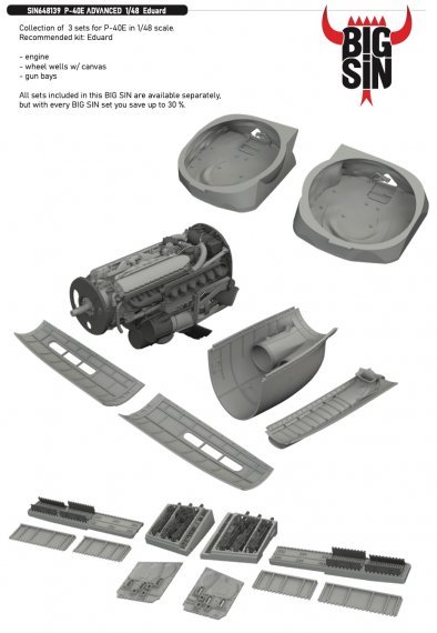BIGSIN 1/48 P-40E ADVANCED for Eduard
