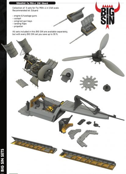 BIGSIN 1/48 Fw 190A-6 for Eduard