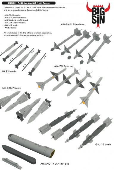 Grumman F-14A Tomcat late AtA/AtG 1/48