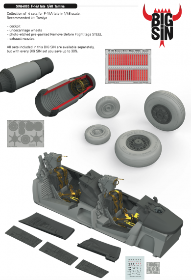 BIGSIN 1/48 F-14A late