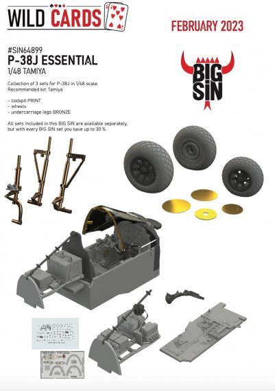 BIGSIN 1/48 P-38J ESSENTIAL