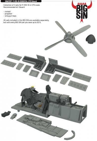 BIGSIN 1/72 P-51D-10 ESSENTIAL for Eduard