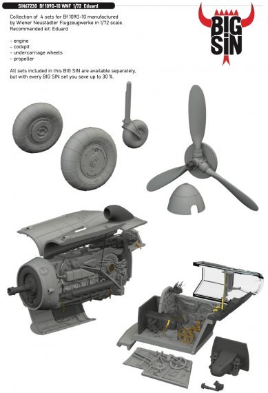 BIGSIN 1/72 Bf 109G-10 WNF for Eduard