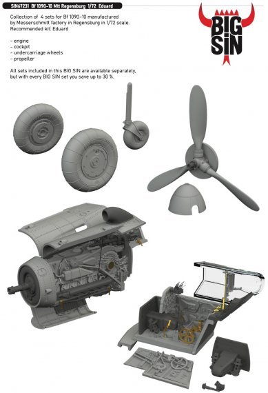 BIGSIN 1/72 Bf 109G-10 Mtt Regensburg for Eduard