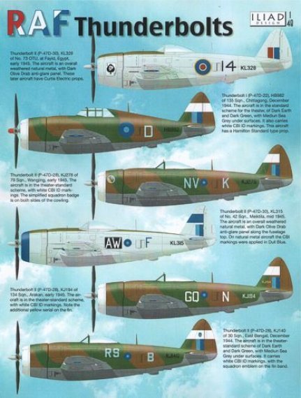 1/48 Republic P-47D Thunderbolt Bubble and Rzorbacks