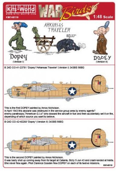 1/48 Scale Consolidated B-24D 343 Bs 98 Bg Co 41-23781/42-40268