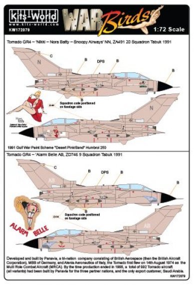 1/72 Scale Desert Storm Panavia Tornado GR.4 Nikki Nora Batty