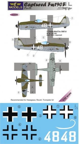1/32 Decals Captured Fw 190F Part 2