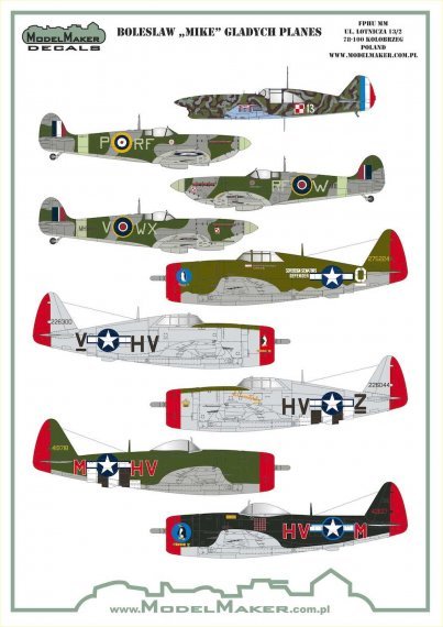 1/48 Boleslaw Mike Gladych planes