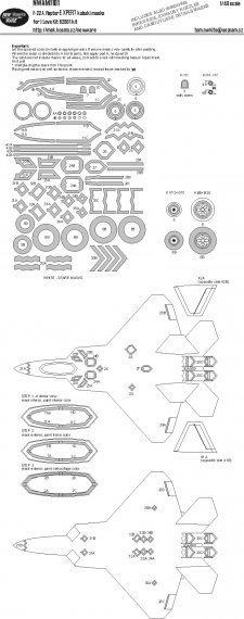1/48 Mask F-22A Raptor EXPERT