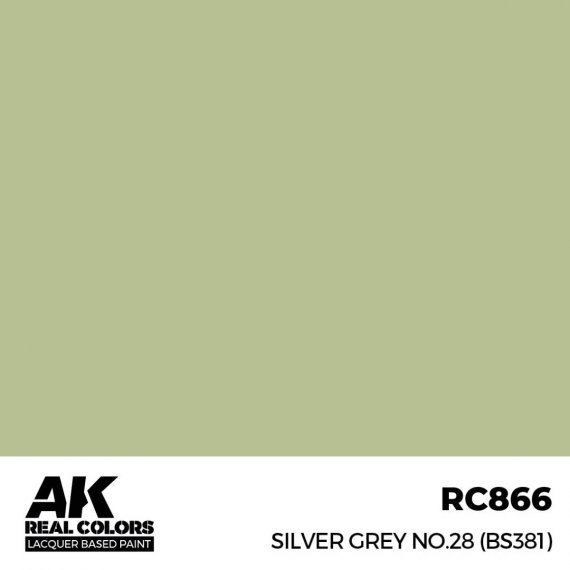 Silver grey no. 28 (bs381) (RC038)