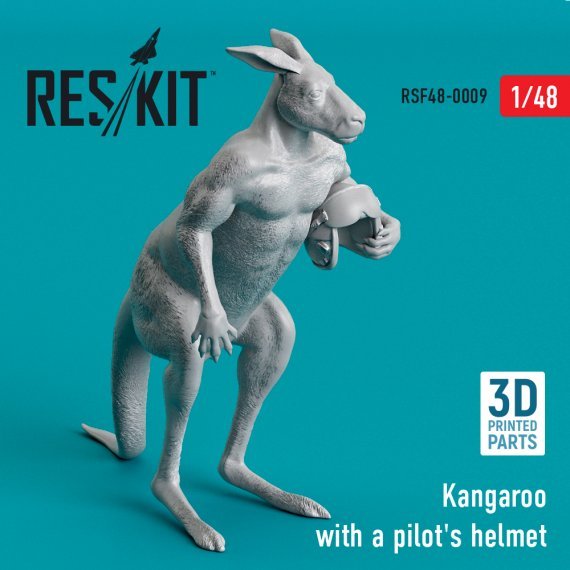 1/48 Kangaroo with a pilots helmet