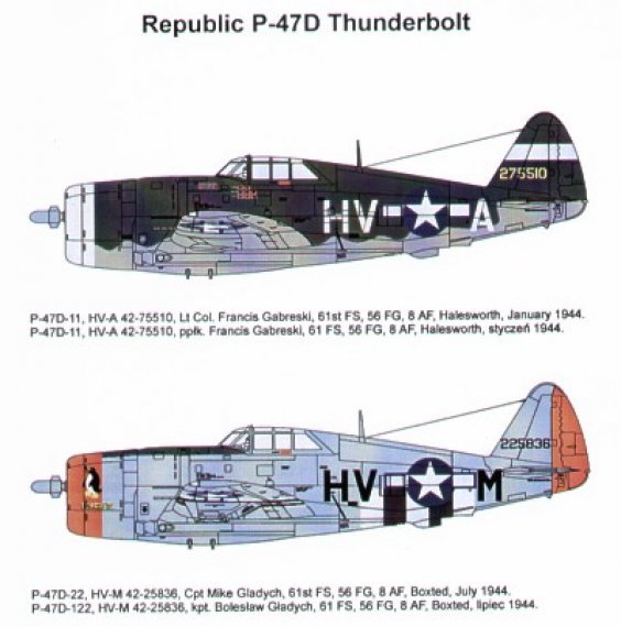 Techmod Decalcomanie P-47D Thunderbolt Razorback 1/48