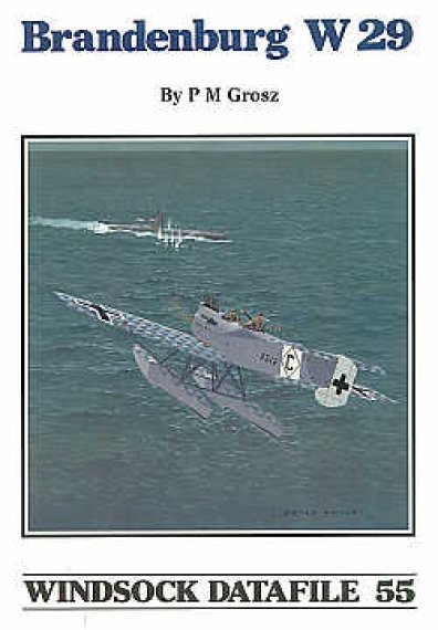 Hansa-Brandenburg W.29