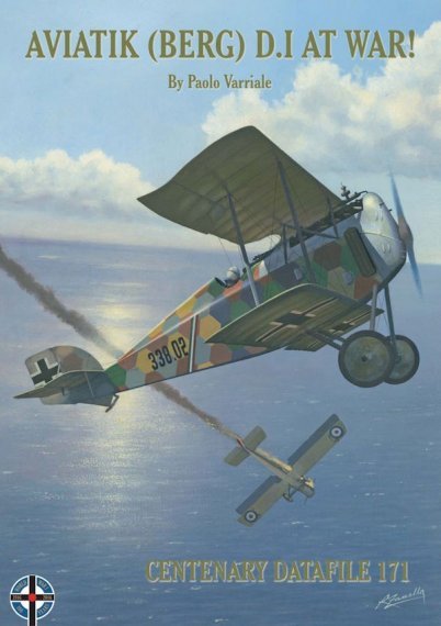 Aviatik D.I At War