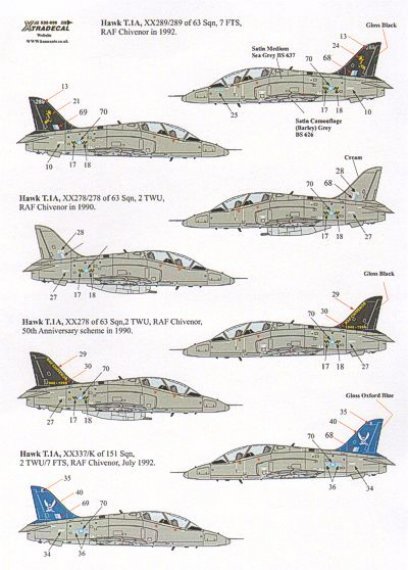1/32 BAe Hawk T.1A All Camouflage (Barley)