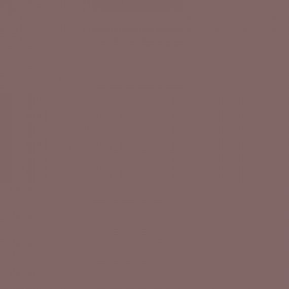 H456 weathering dust brown / Brun poussire (F)