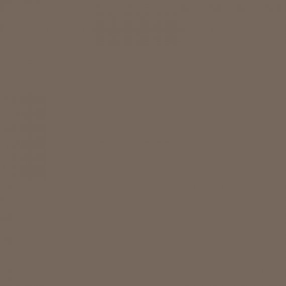 H457 weathering earth braun / Brun terre (F)